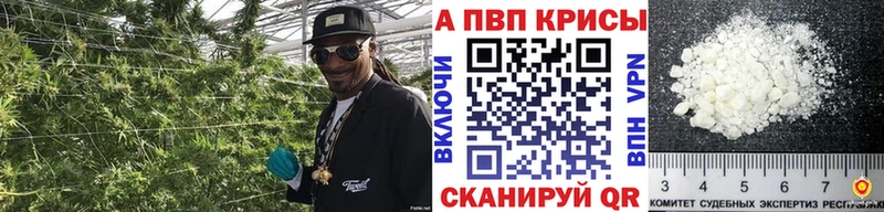 ОМГ ОМГ вход  Темников  A PVP СК 