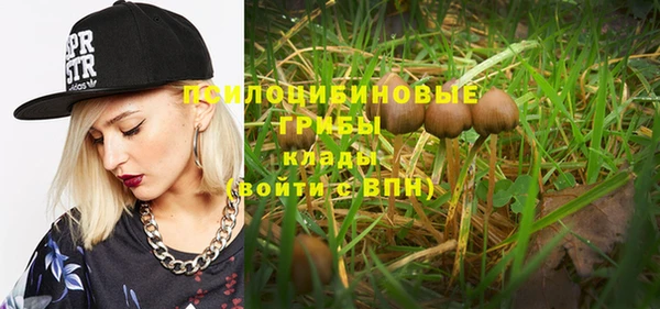 PSILOCYBIN Пересвет