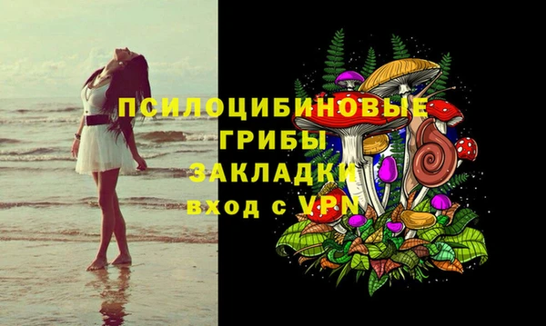 сатива Переславль-Залесский
